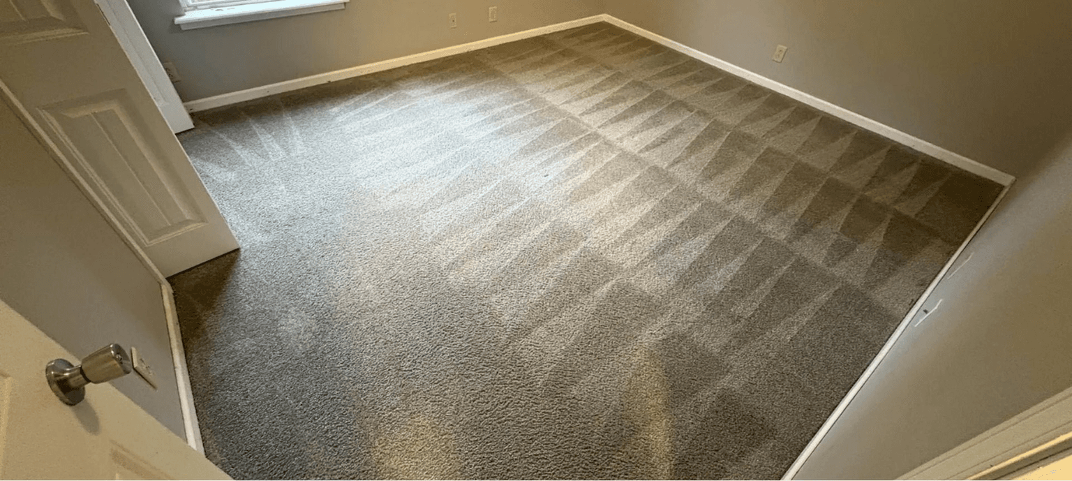 Carpet Cleaning